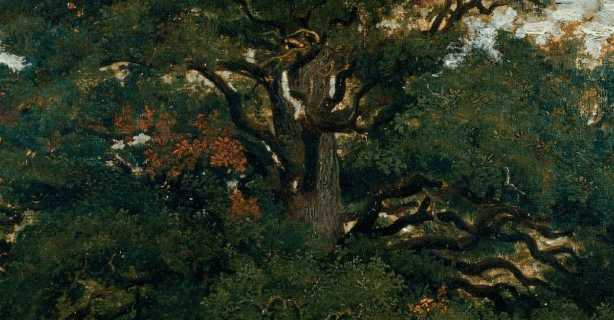 Théodore Rousseau, the Voice of the Forest